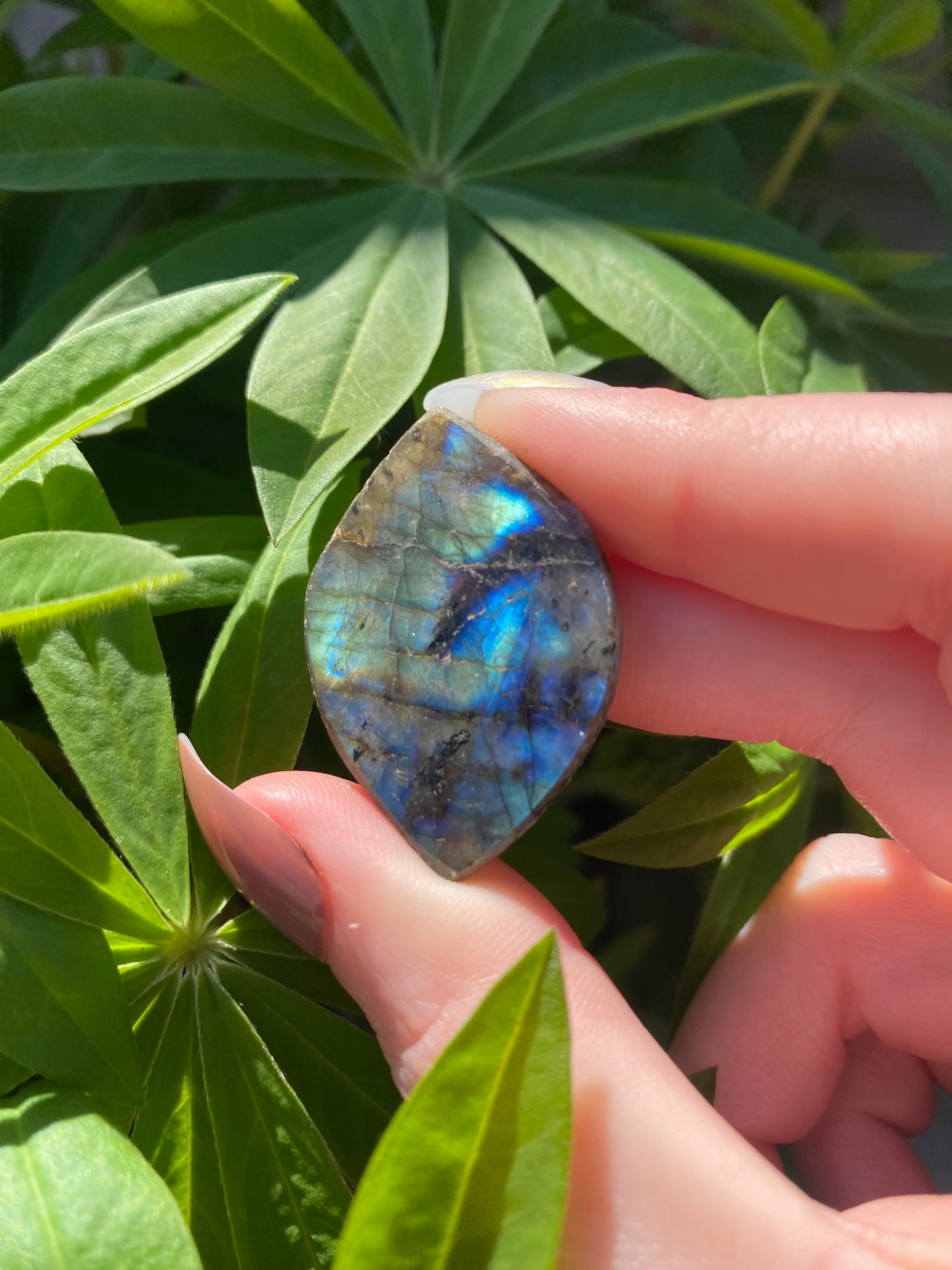 Labradorite Mini