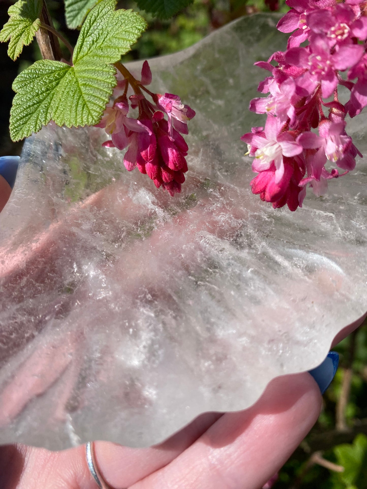 Quartz Shell Tray