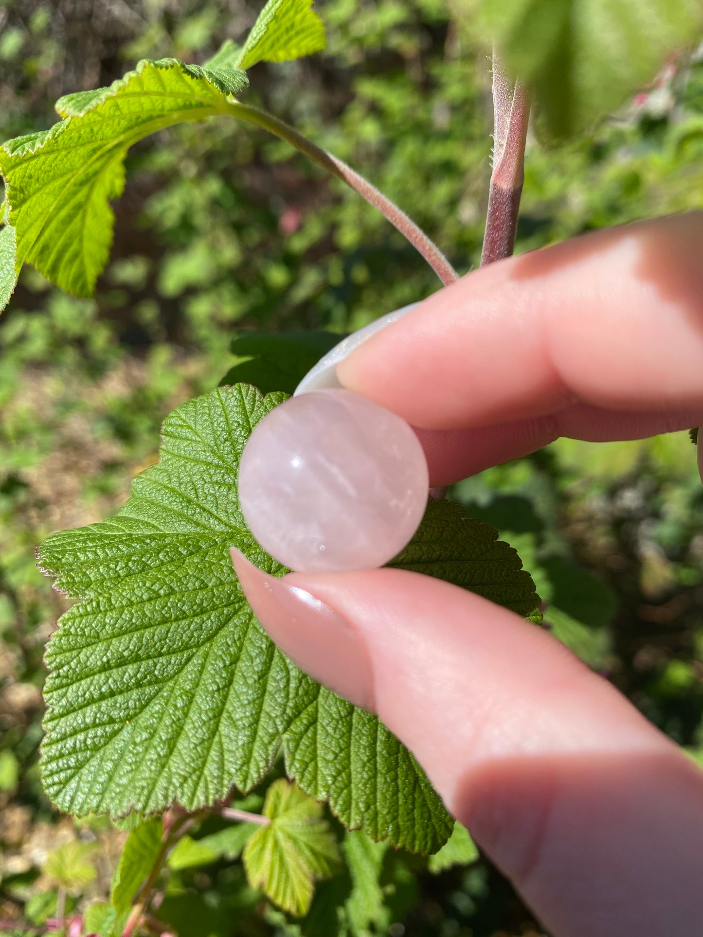 Rose Quartz Mini Sphere