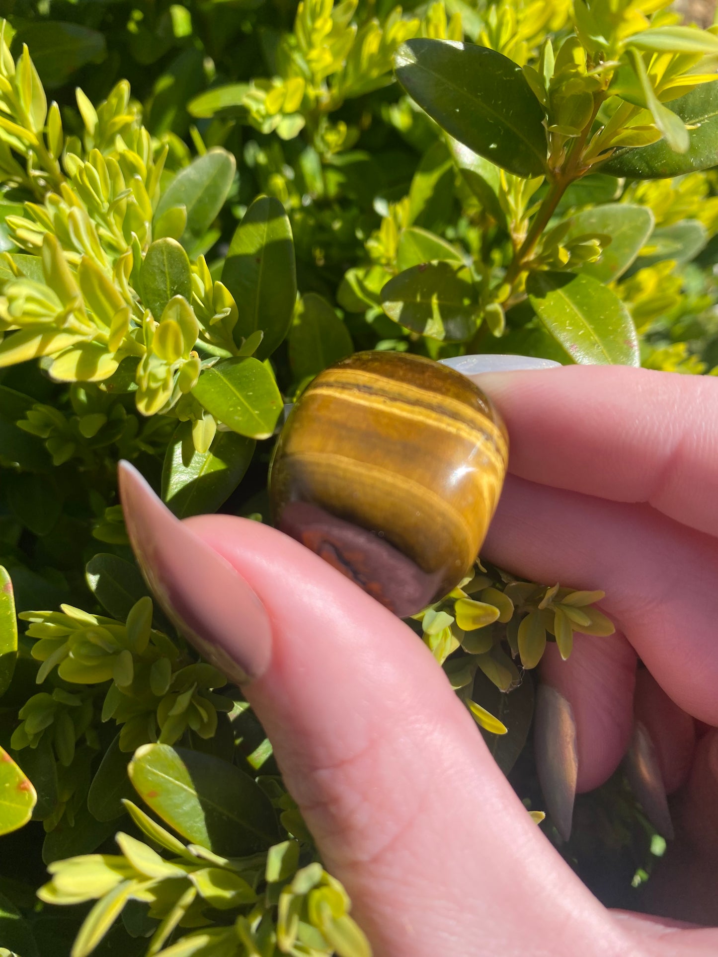 Tigers Eye Tumble