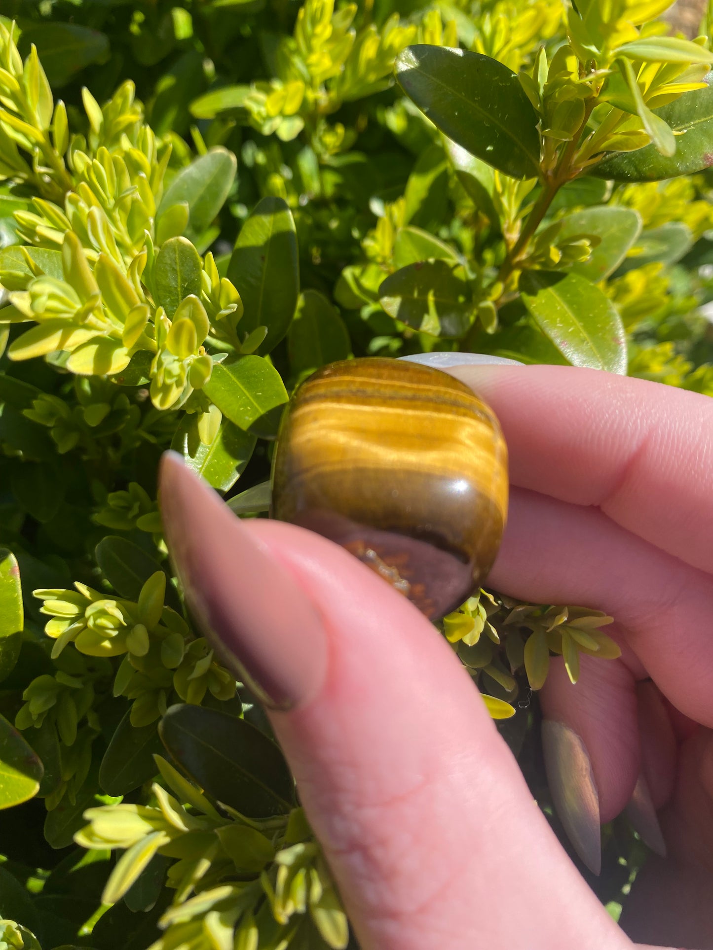 Tigers Eye Tumble