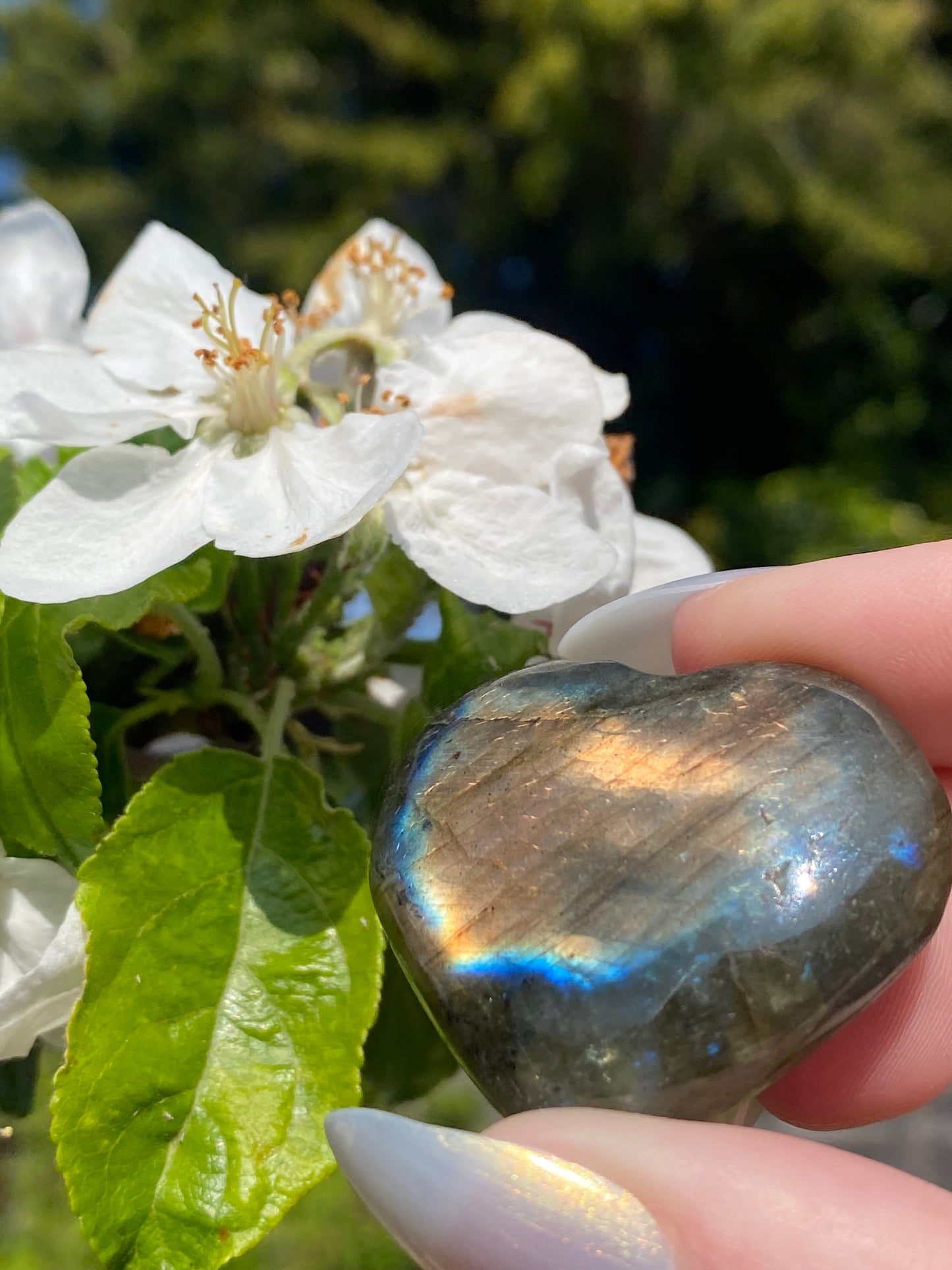 Labradorite Heart