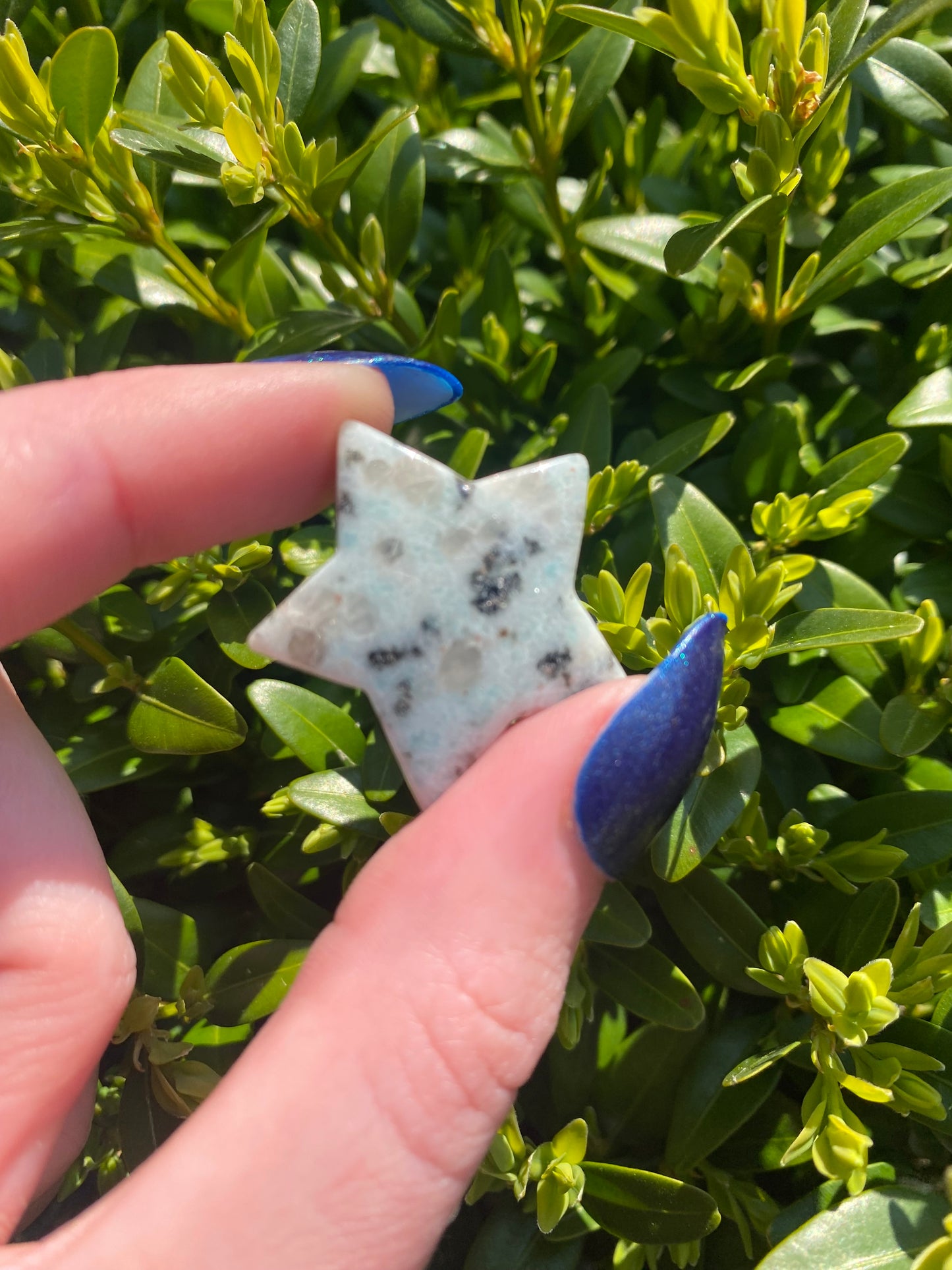 Kunzite Star