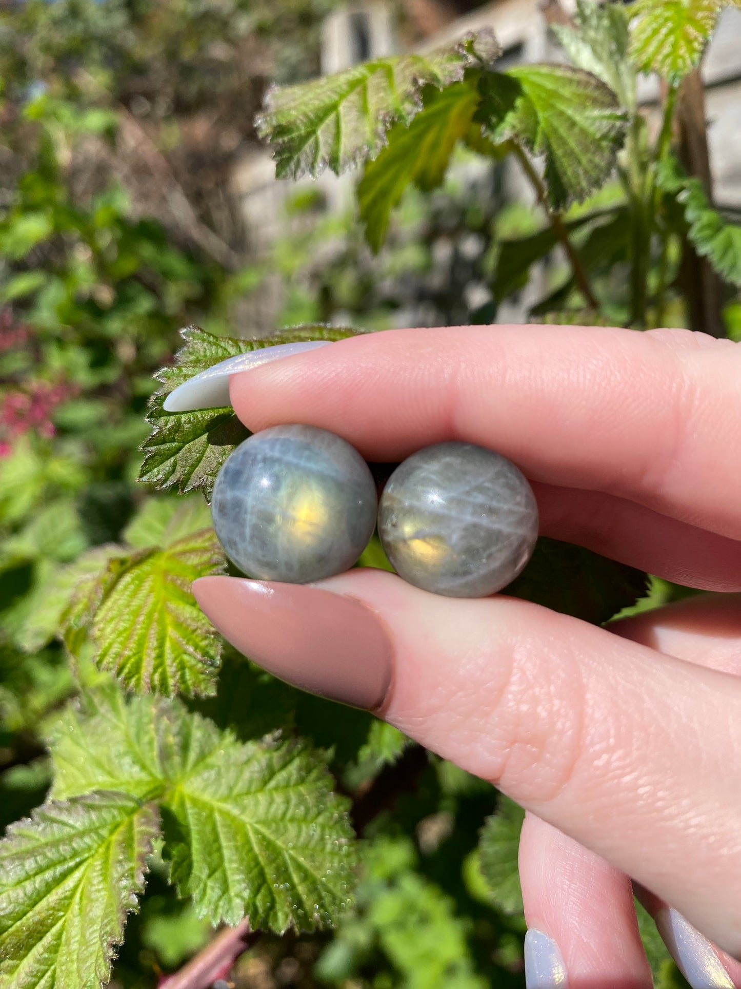 Labradorite Mini Sphere