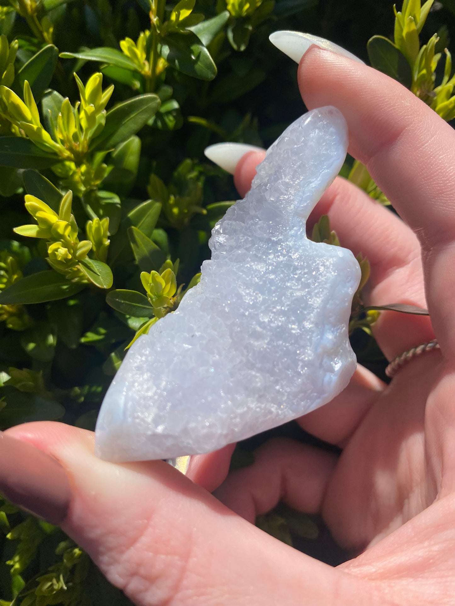 Blue Lace Agate Specimen