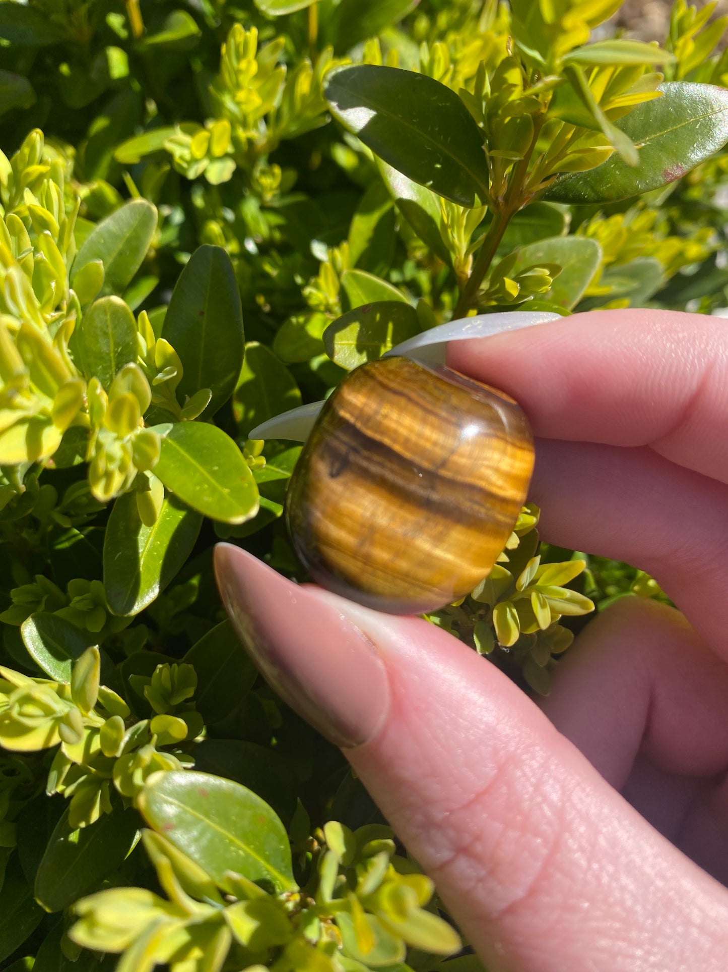 Tigers Eye Tumble