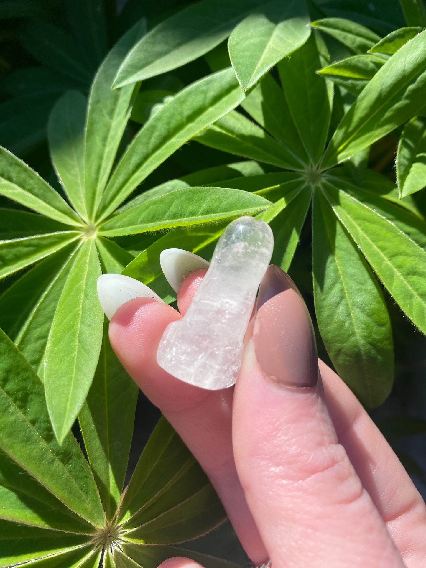 Quartz Mini Pini