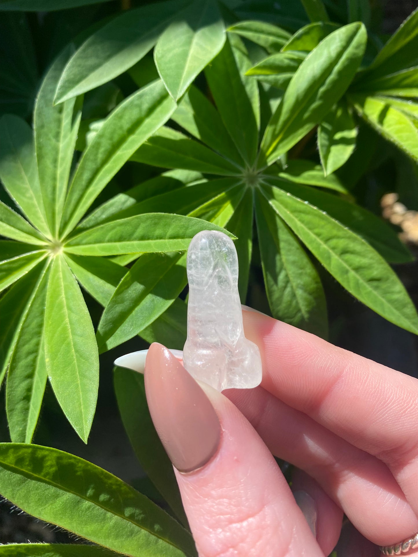 Quartz Mini Pini