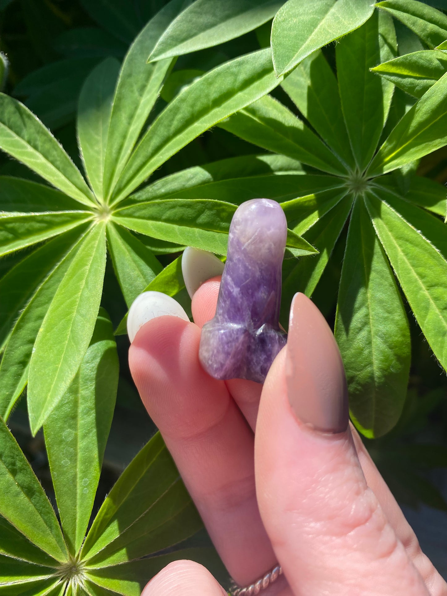 Amethyst Mini Pini
