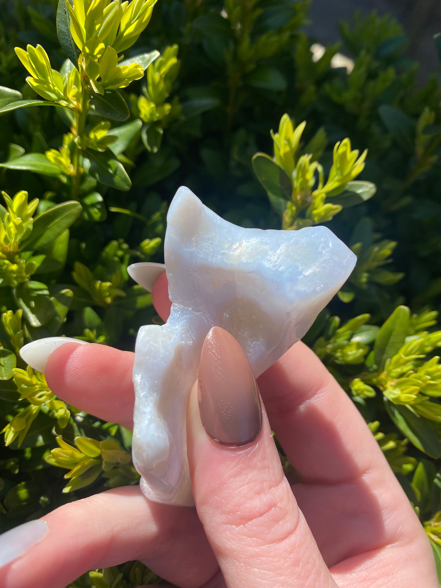 Blue Lace Agate Specimen