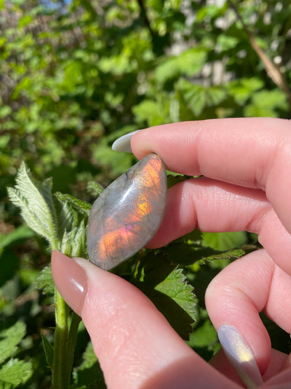 Labradorite Mini
