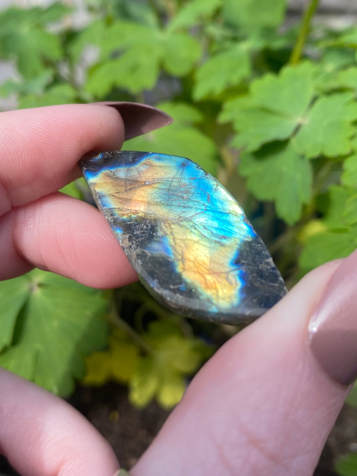 Labradorite Mini