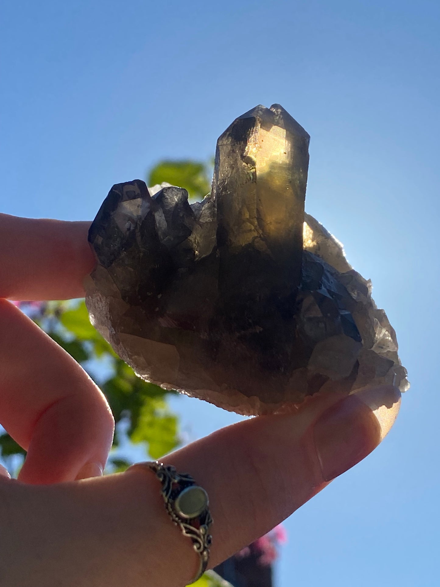 Smokey Citrine Cluster