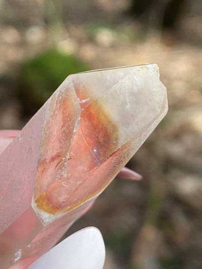 Angel Phantom Quartz