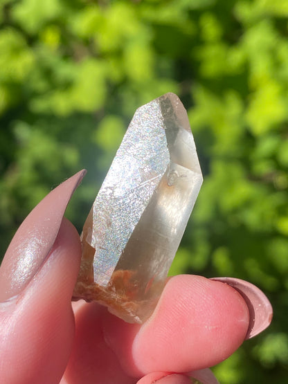 Angel Phantom Quartz