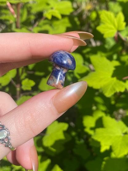 Sodalite Mini Mushroom