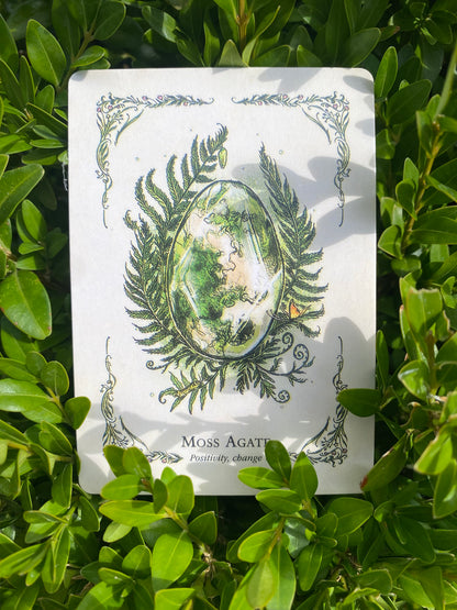 LIVE Oracle Card