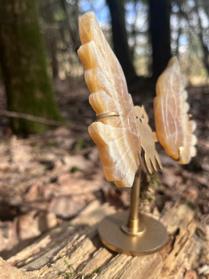 Orange Calcite Owl Wings