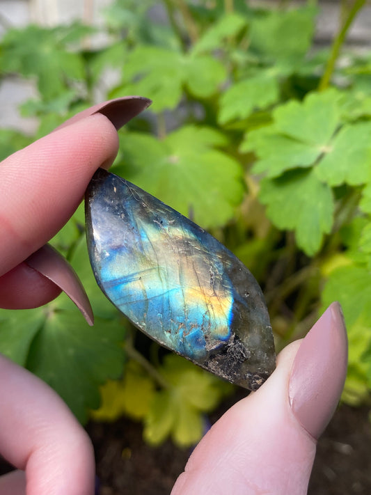 Labradorite Mini