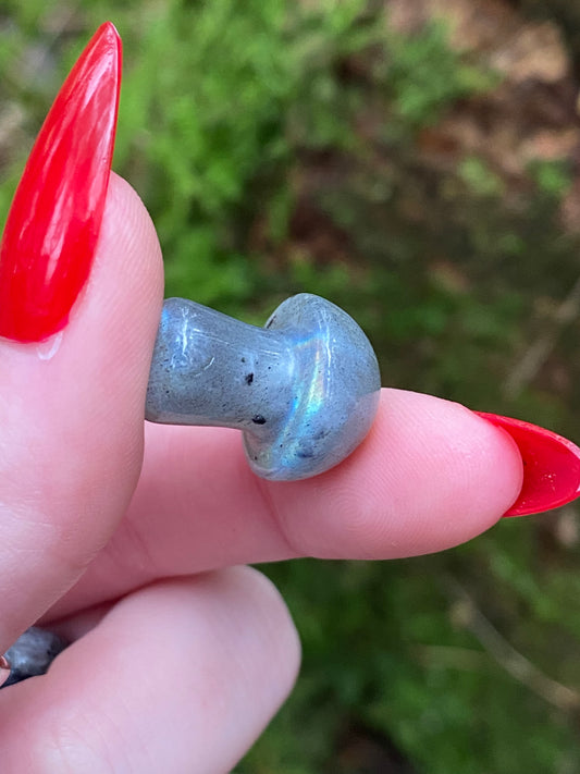 Labradorite Mini Mushroom