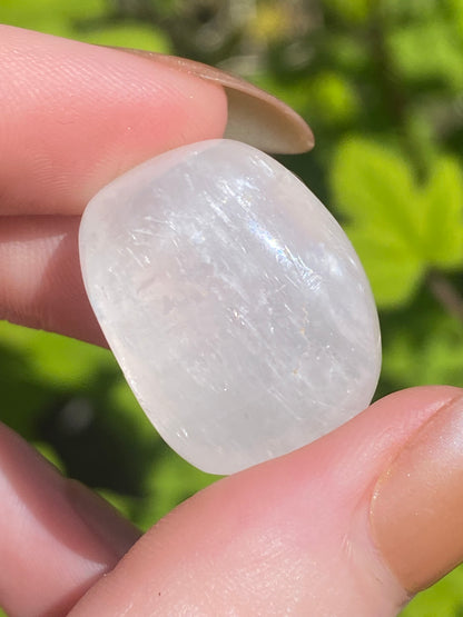 Optical Calcite Tumble