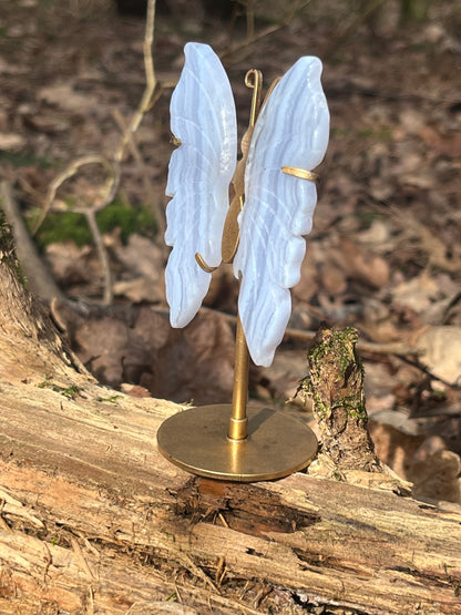 Blue Lace Agate Wings