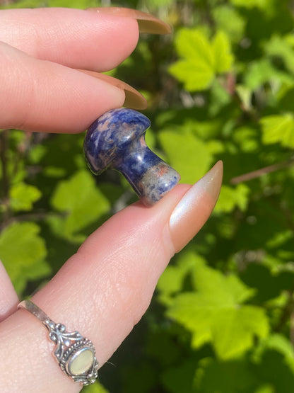 Sodalite Mini Mushroom