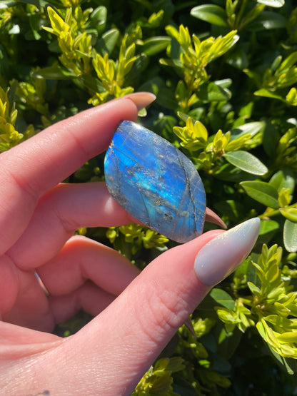 Labradorite Mini
