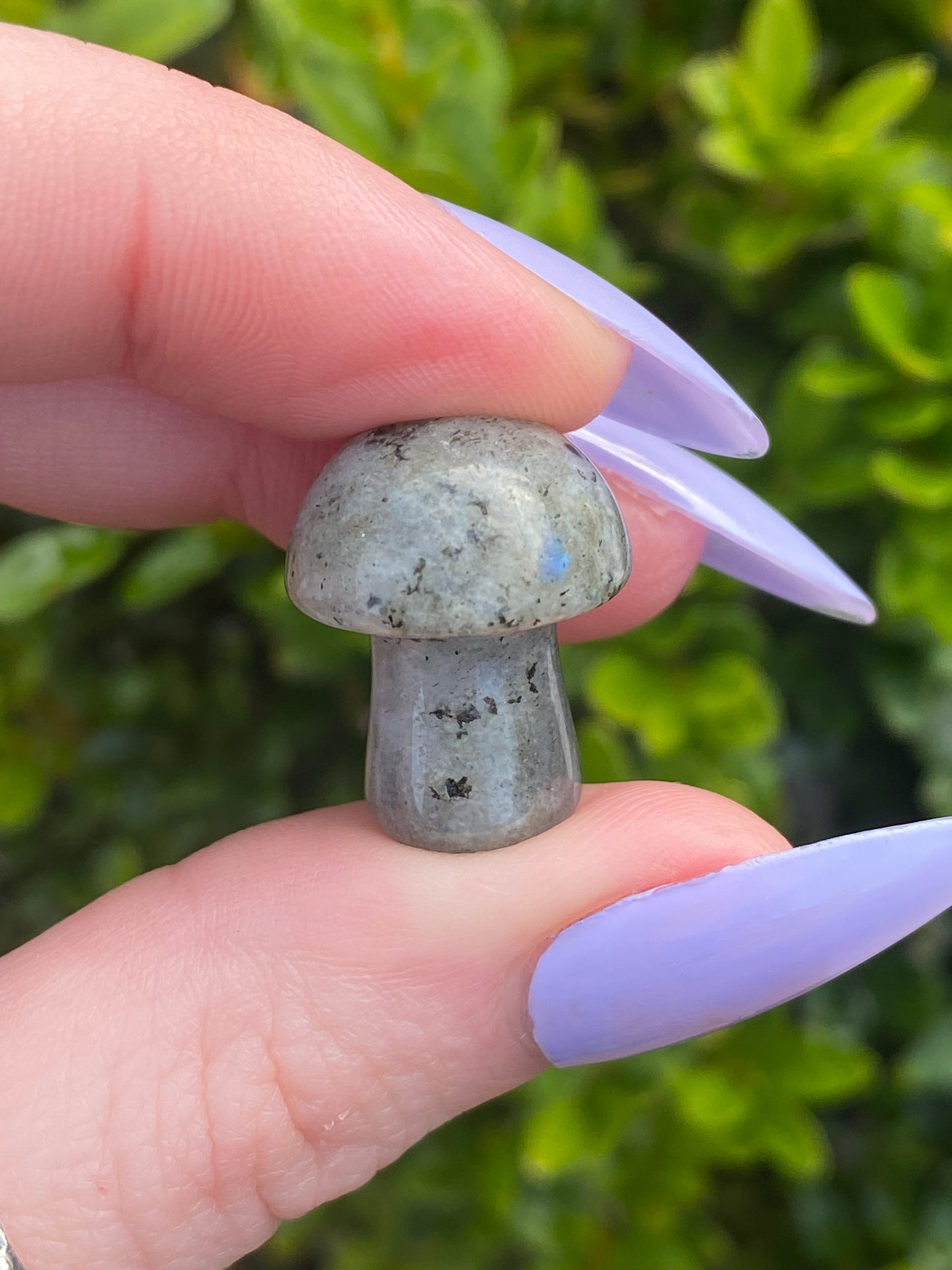 Labradorite Mini Mushroom