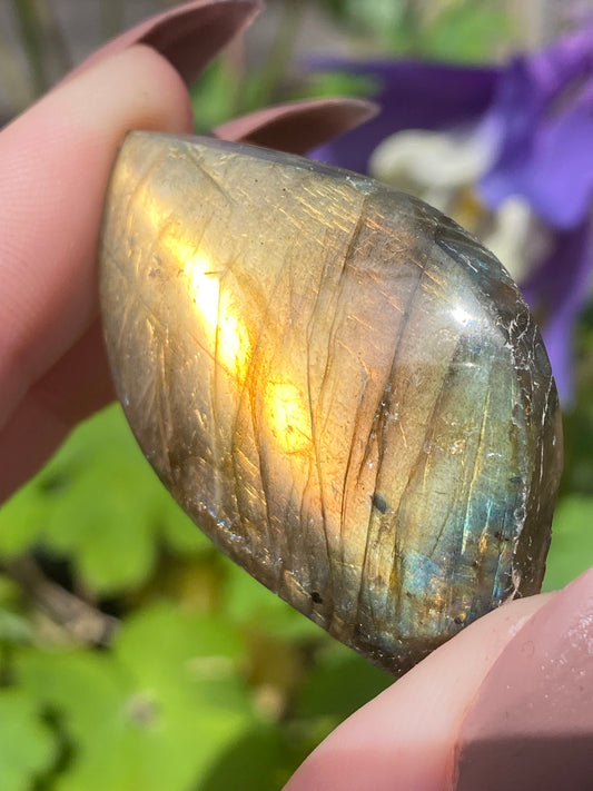 Labradorite Mini