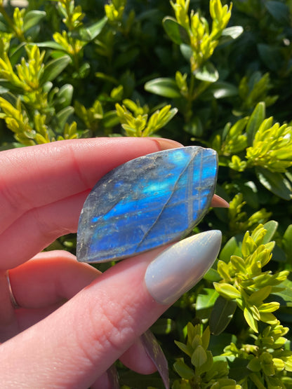 Labradorite Mini