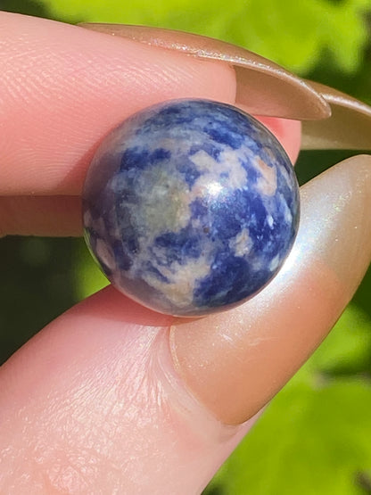 Sodalite Mini Mushroom