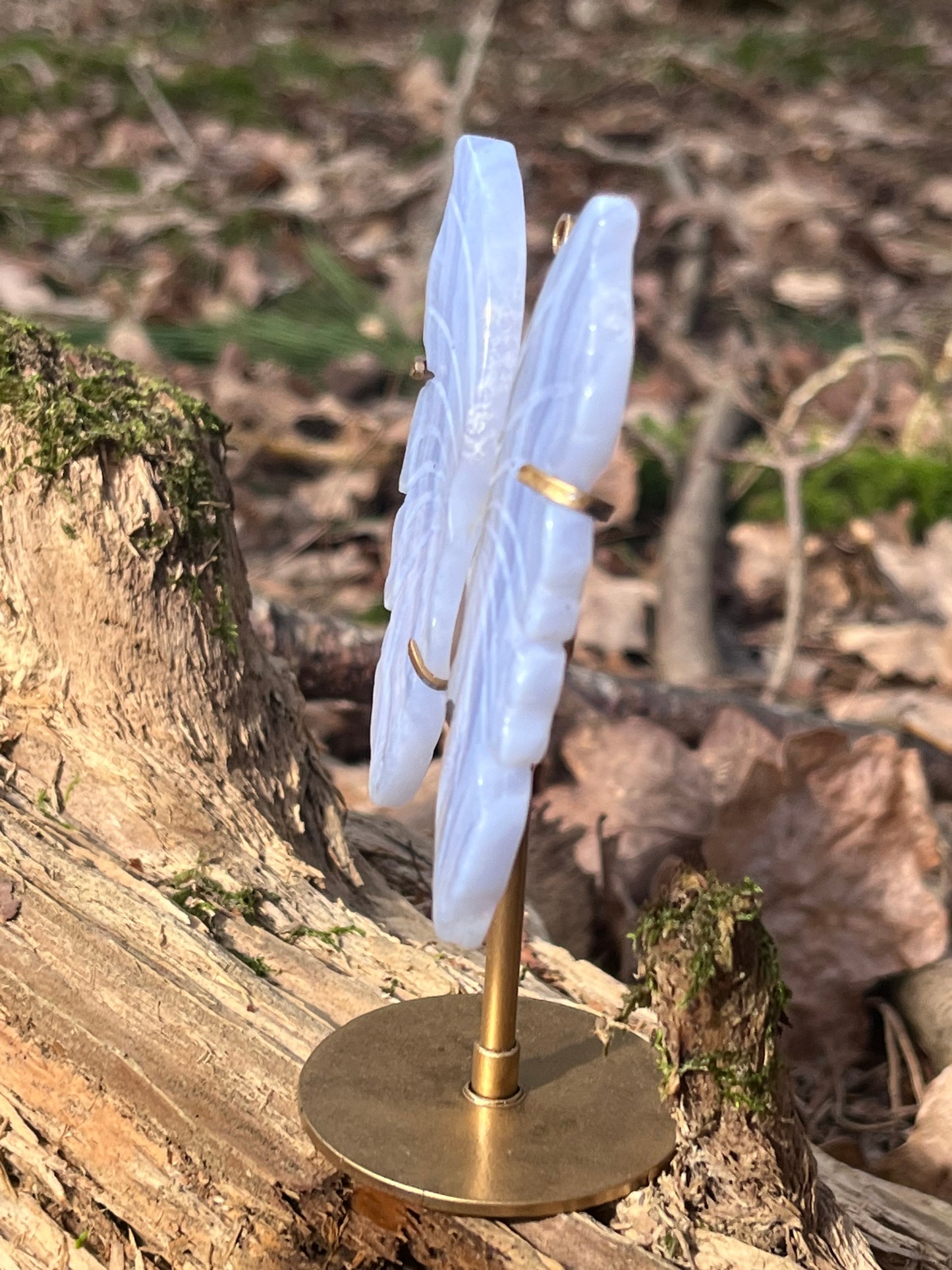 Blue Lace Agate Wings