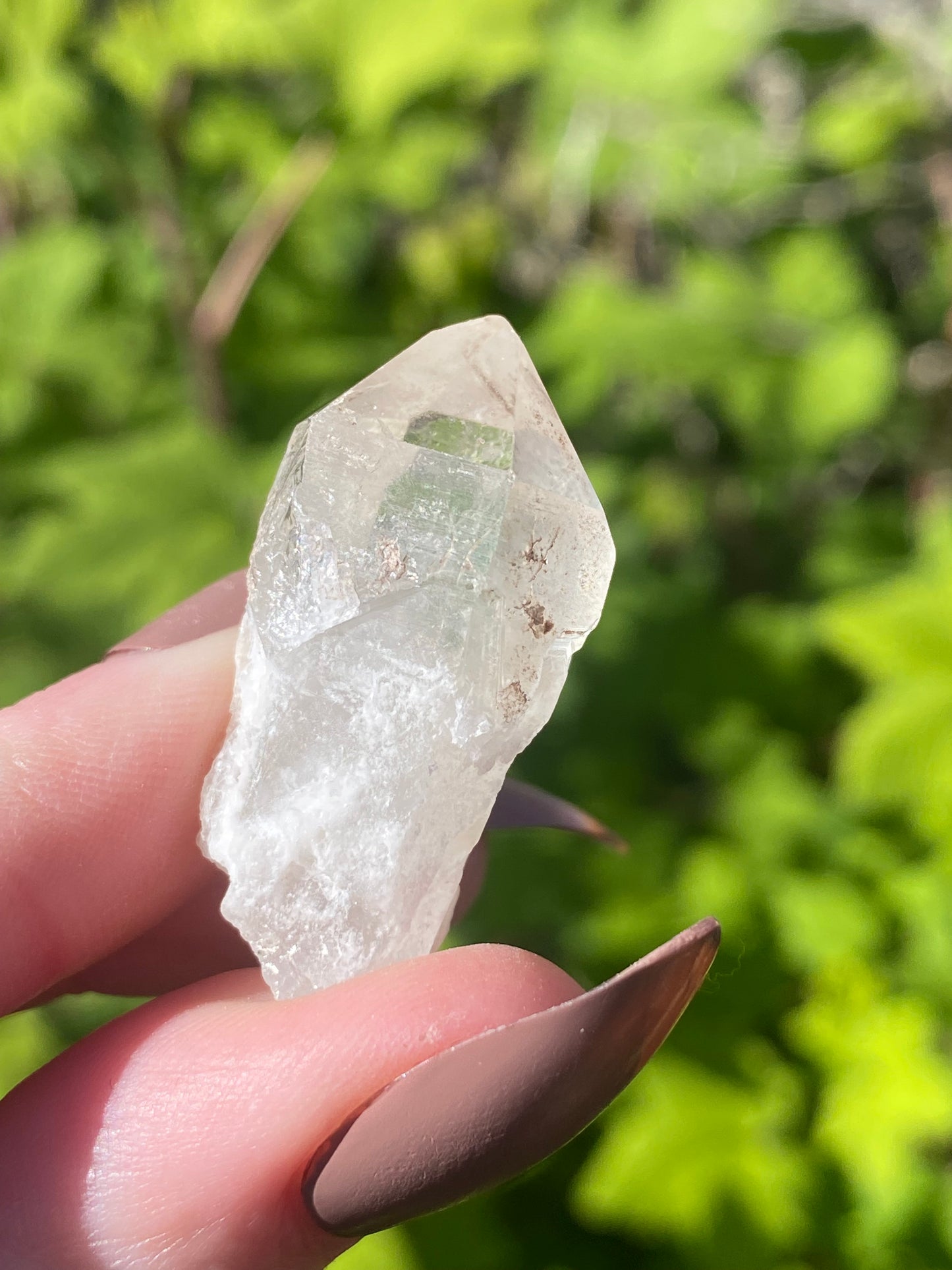 Sceptre Quartz