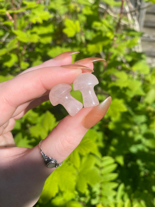 Rose Quartz Mini Mushroom