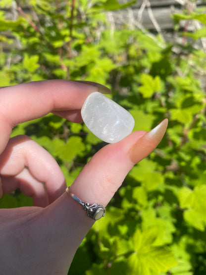 Optical Calcite Tumble