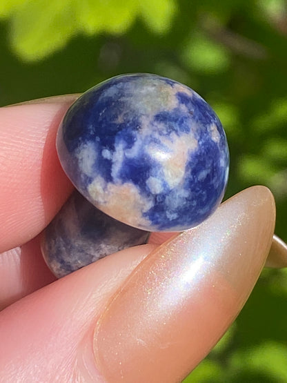 Sodalite Mini Mushroom