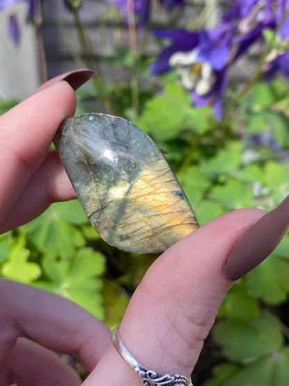 Labradorite Mini