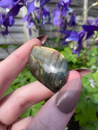 Labradorite Mini