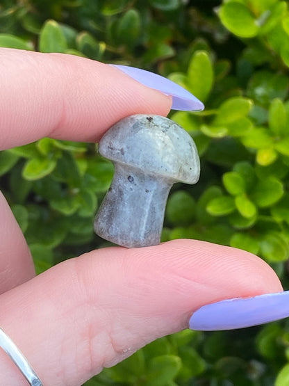 Labradorite Mini Mushroom