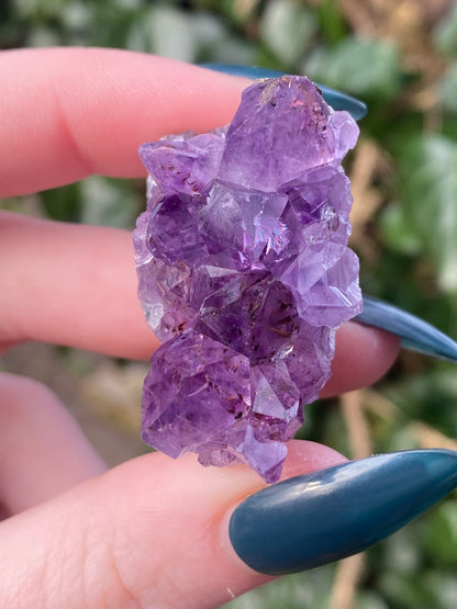 Mini Amethyst Cluster