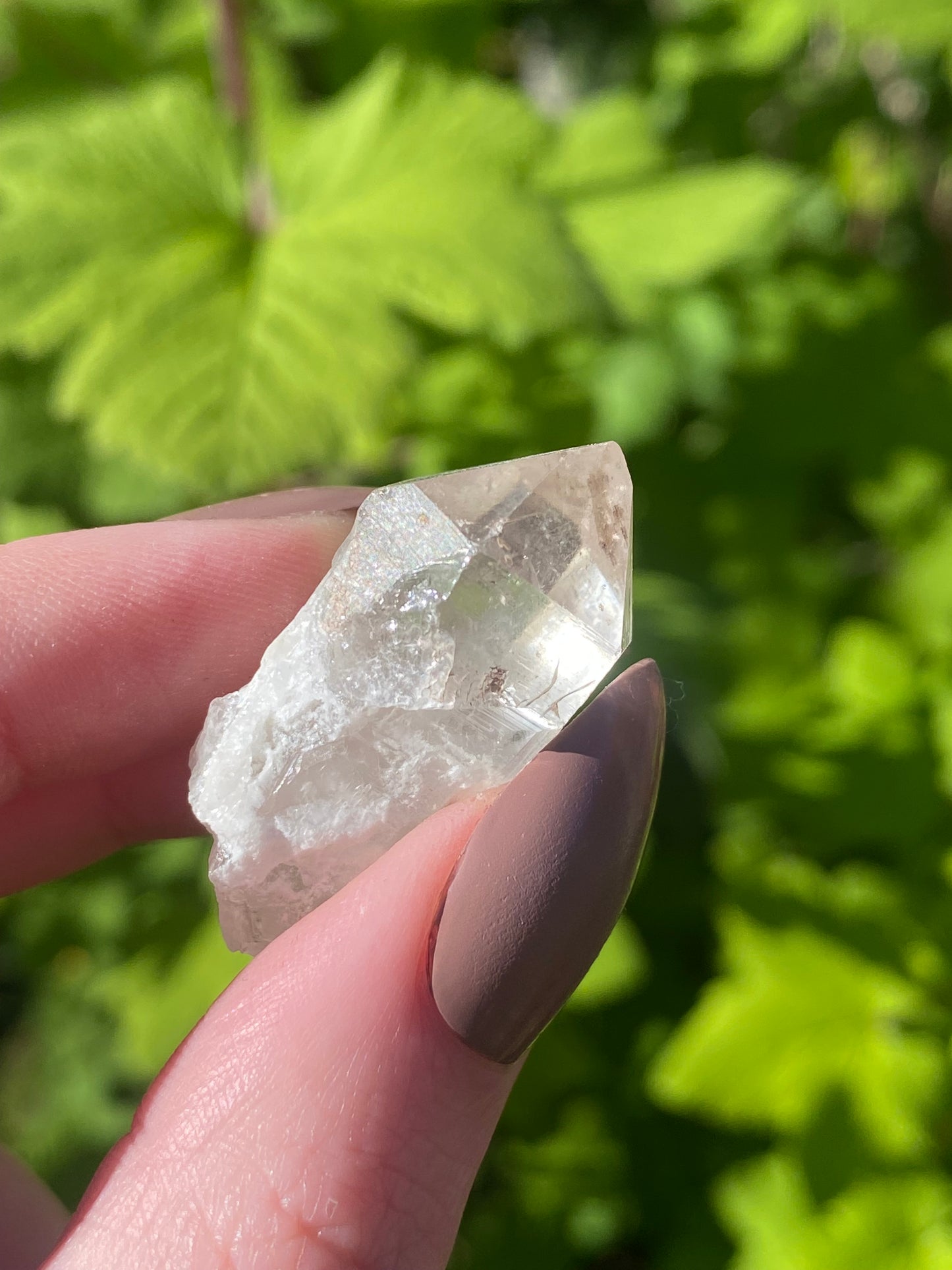 Sceptre Quartz