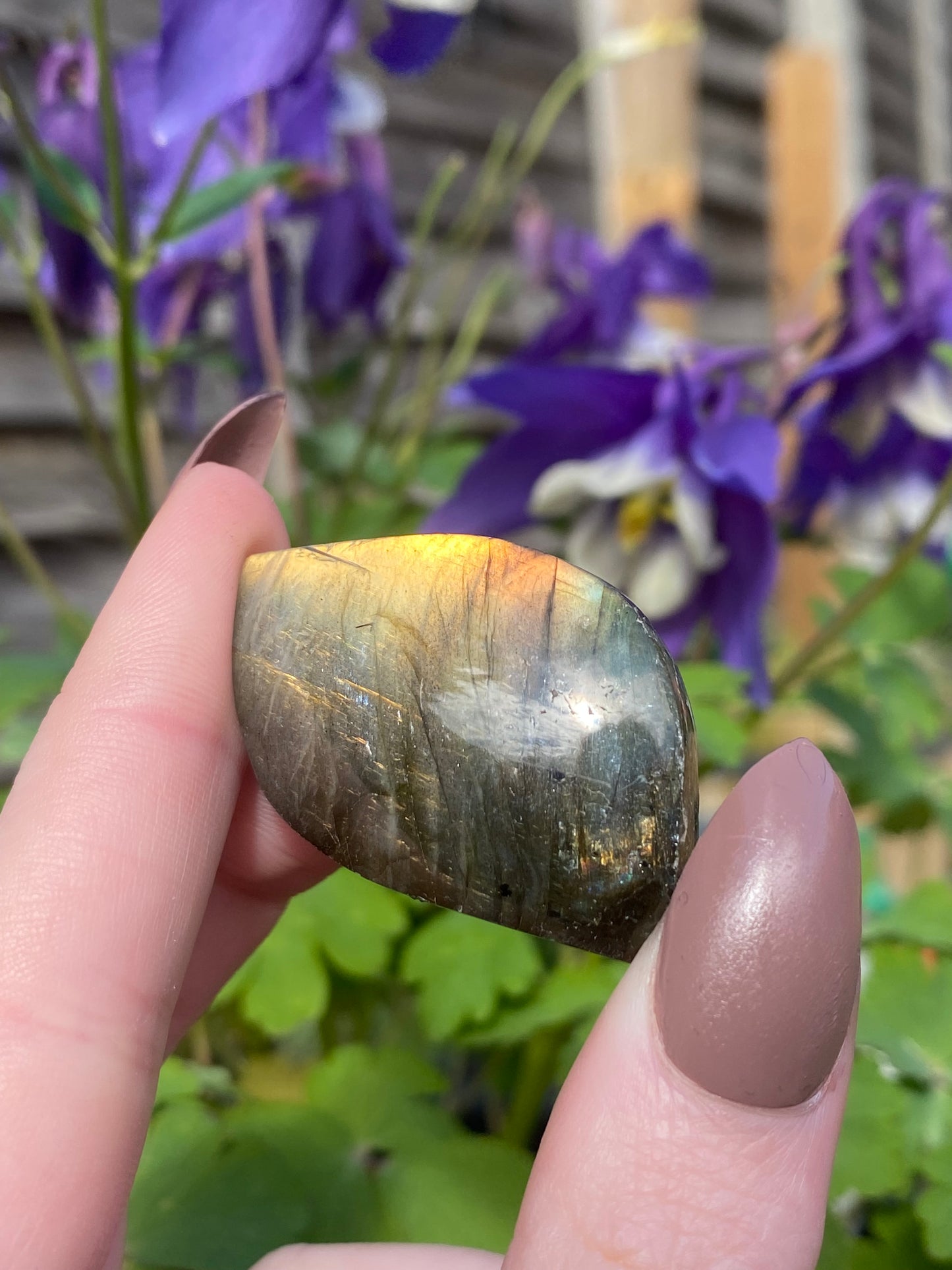 Labradorite Mini