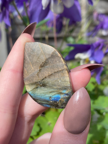 Labradorite Mini