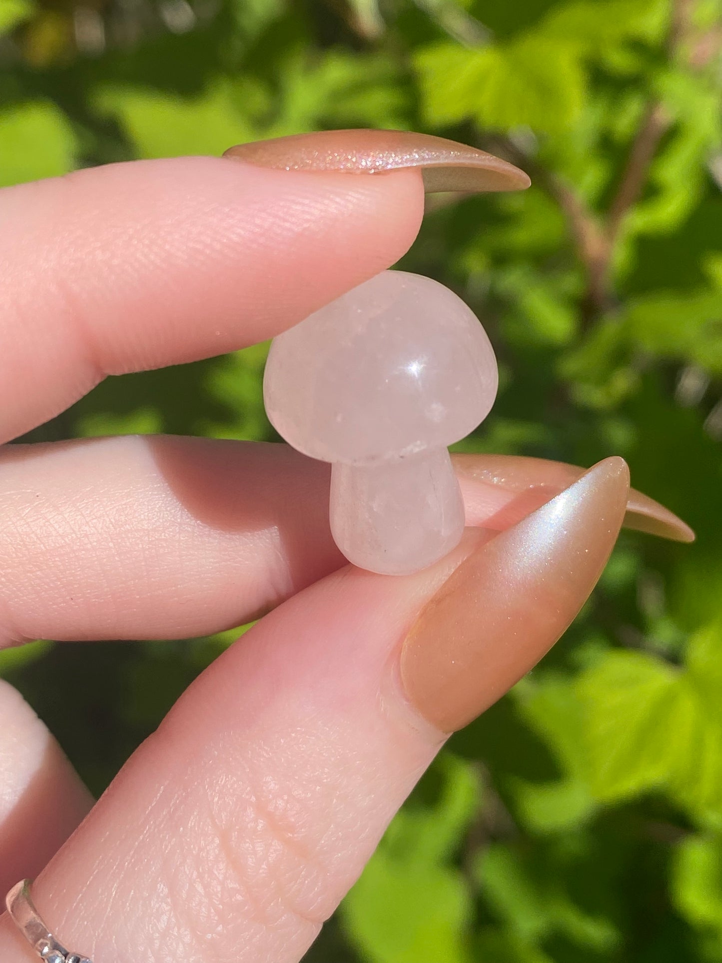 Rose Quartz Mini Mushroom