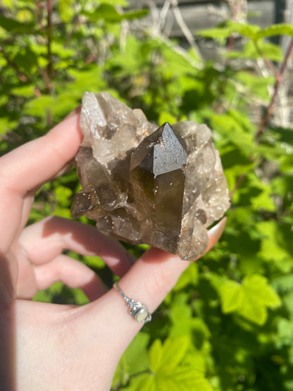 Smokey Citrine Cluster