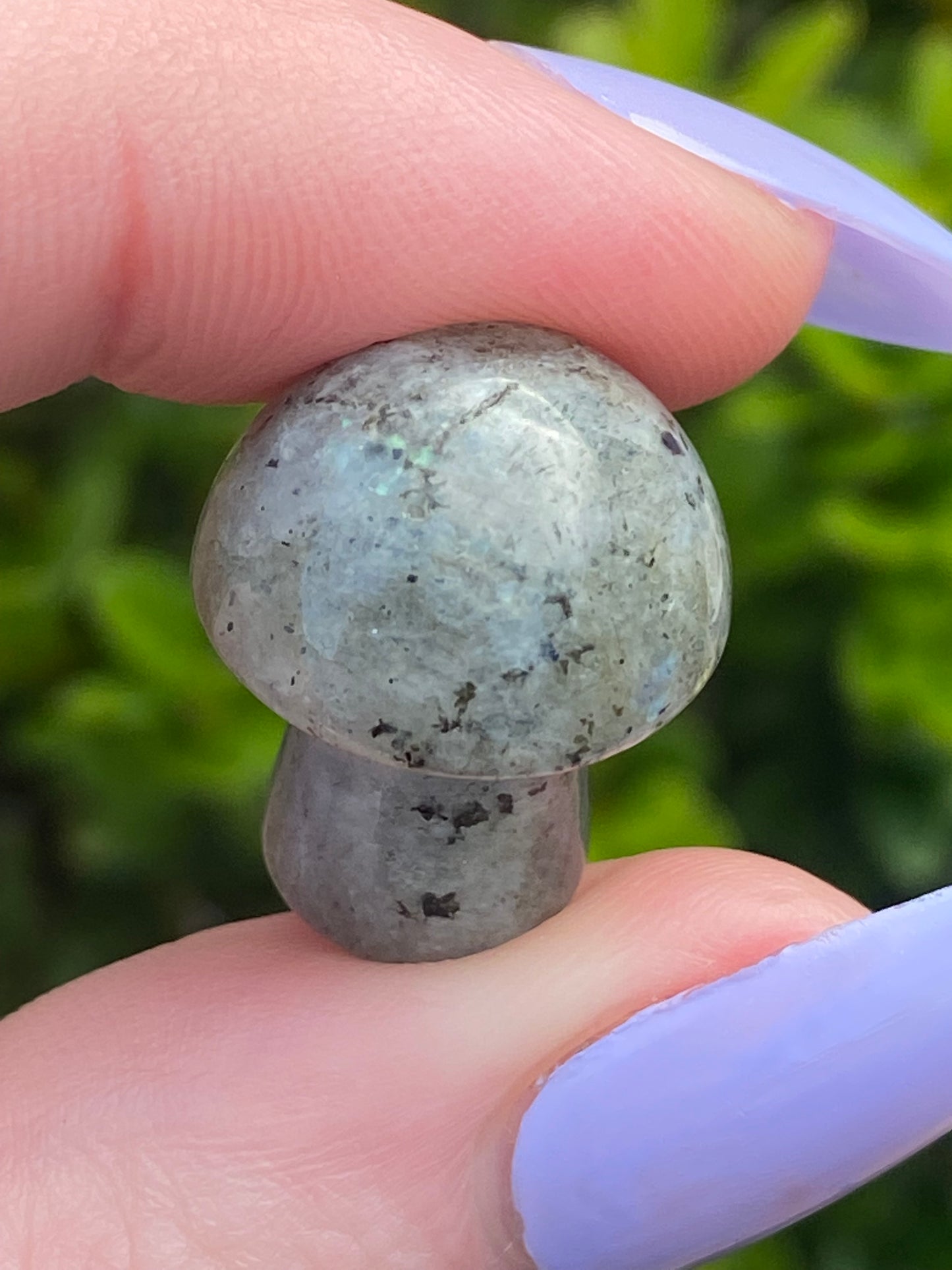 Labradorite Mini Mushroom