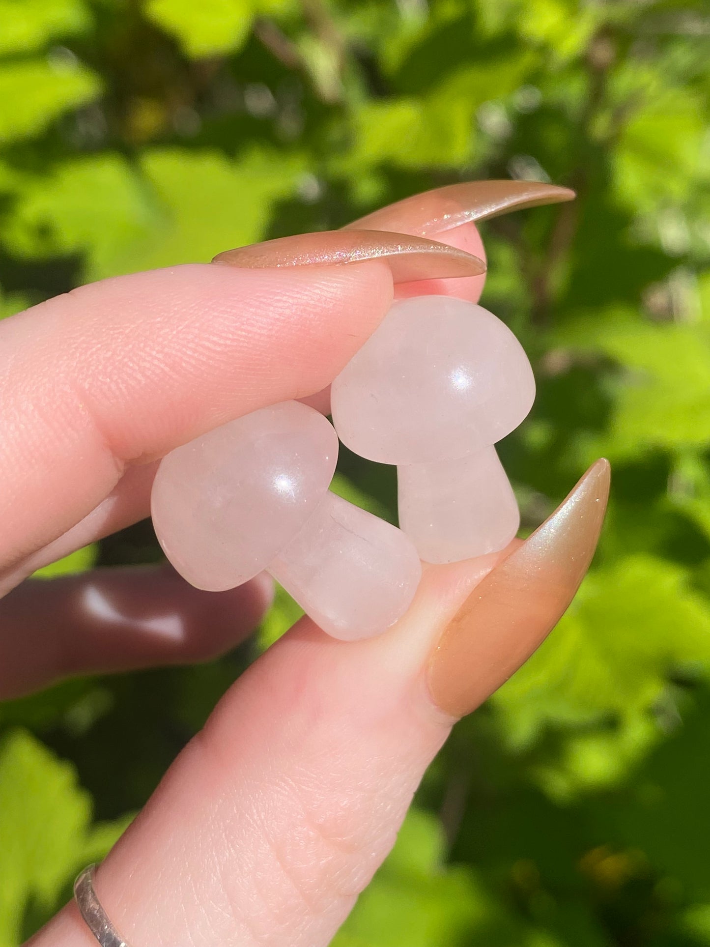 Rose Quartz Mini Mushroom