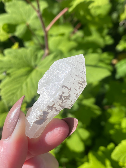 Sceptre Quartz