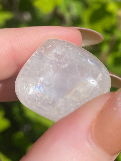 Optical Calcite Tumble